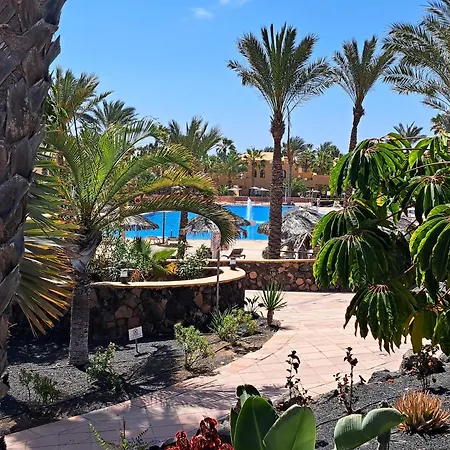 Casa Manba, Terrace, Pool And Wifi شقة كوراليهو